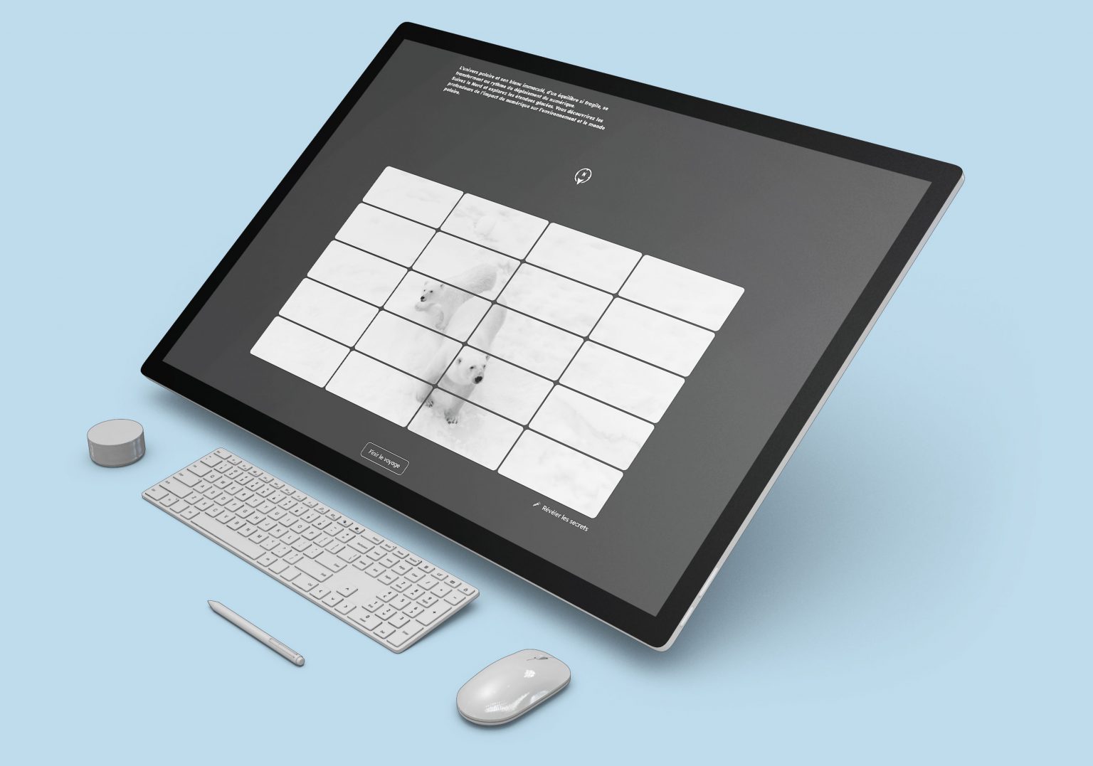 Aperçu de l'expérience avec l'image mosaïque