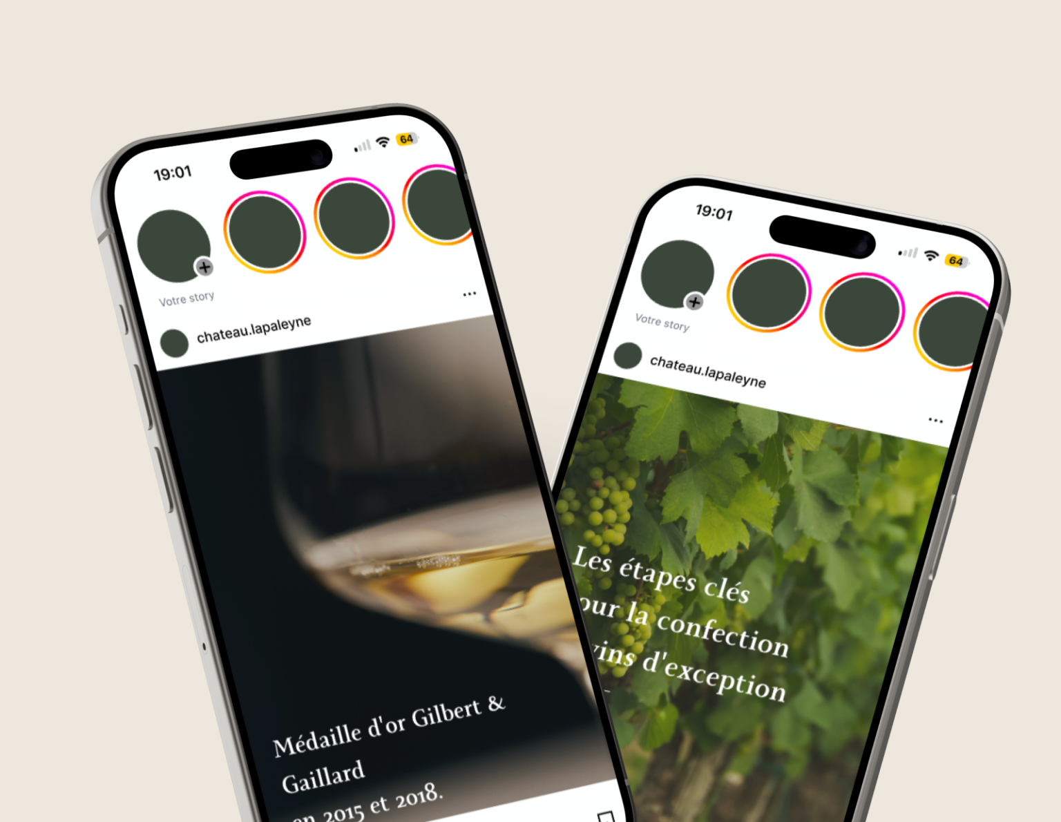 Visualisation du profil Instagram du Château