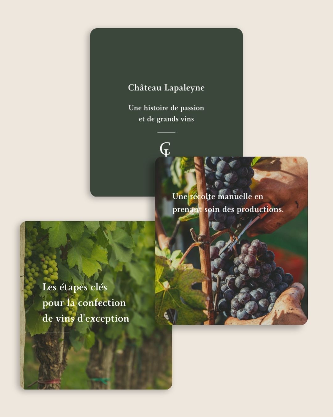 Visualisation feed Château Lapaleyne