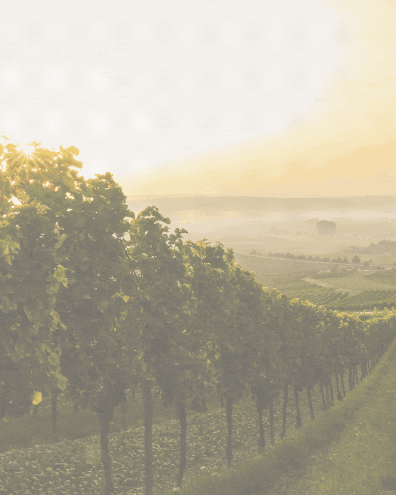 Aperçu des posts Lapaleyne